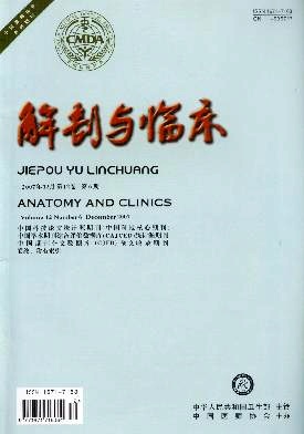中华解剖与临床杂志